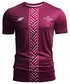 T-shirt - koszulka męska 4F Koszulka funkcyjna męska Łotwa Pyeongchang 2018 TSMF800 - bordowy -
