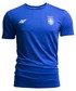 T-shirt - koszulka męska 4F Koszulka funkcyjna męska Serbia Pyeongchang 2018 TSMF700 - kobalt -
