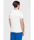 T-shirt - koszulka męska 4F T-shirt męski TSM200 - biały