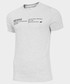 T-shirt - koszulka męska 4F T-shirt męski TSM250 - chłodny jasny szary melanż