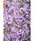 Tunika Bialcon Dzianinowa tunika w kwiatowe wzory
