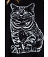 Bluzka Bialcon Czarna bluzka z printem kota