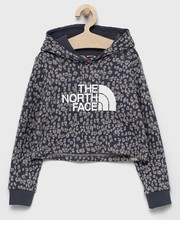 Bluza Bluza bawełniana dziecięca kolor szary z kapturem wzorzysta - Answear.com The North Face