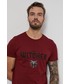 T-shirt - koszulka męska Medicine - T-shirt bawełniany The Witcher