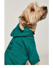 akcesoria - Bluza dla psa Midnight Queen - Answear.com