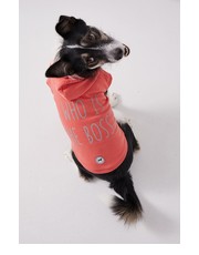 akcesoria - Bluza dla psa Essential - Answear.com