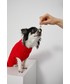 Akcesoria Medicine - Sweter dla psa Commercial