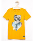 Koszulka Name It Name it - T-shirt dziecięcy 122-164 cm 13158707
