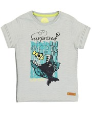 koszulka - T-shirt dziecięcy 104-164 cm B.TSH.007 - Answear.com