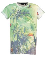 koszulka - T-shirt dziecięcy 140-176 cm 602617.X - Answear.com