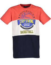 koszulka - T-shirt dziecięcy 140-176 cm 602643.X - Answear.com