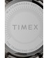 Zegarek damski Timex - Zegarek TW2T74700
