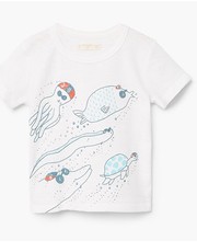 koszulka - T-shirt dziecięcy Circo 80-104 cm 23070448 - Answear.com