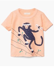 koszulka - T-shirt dziecięcy Circo 80-104 cm 23070448 - Answear.com