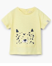 koszulka - T-shirt dziecięcy Tiger 80-104 cm 23047706 - Answear.com
