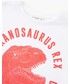 Koszulka Mango Kids - T-shirt dziecięcy Dino 104-164 cm 23053015