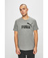 T-shirt - koszulka męska Puma - T-shirt 851740