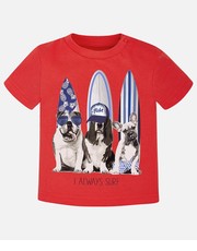 koszulka - T-shirt dziecięcy 68-98 cm 1064.37.3K - Answear.com
