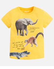 koszulka - T-shirt dziecięcy 92-134 cm 3077.38.5G - Answear.com