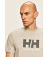 T-shirt - koszulka męska Helly Hansen - T-shirt 33979