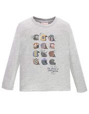 koszulka - Longsleeve dziecięcy 104-128 cm 173BFFL005.805 - Answear.com