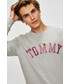 Bluza męska Tommy Jeans - Bluza DM0DM05160