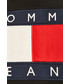 Bluza męska Tommy Jeans - Bluza DM0DM07201