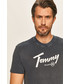 T-shirt - koszulka męska Tommy Jeans - T-shirt DM0DM08471