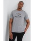 T-shirt - koszulka męska Icebreaker t-shirt sportowy Tech Lite II kolor szary z nadrukiem