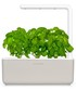 Akcesoria Click & Grow autonomiczny ogródek domowy Smart Garden 3
