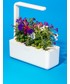 Akcesoria Click & Grow autonomiczny ogródek domowy Smart Garden 3