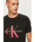 T-shirt - koszulka męska Calvin Klein Jeans - T-shirt J30J314551