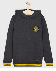 bluza - Bluza dziecięca x Harry Potter 122-174 cm VN0A4584O8W1 - Answear.com