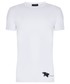 T-shirt - koszulka męska Giacomo Conti T-shirt NICODEMO TSBS000018