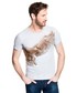 T-shirt - koszulka męska Giacomo Conti T-shirt STEFANO TSPR000025