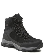 Workery Trekkingi  - Detion W Outdoor Leather W204390 Black 1001 - eobuwie.pl Whistler